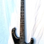PA150033.JPG