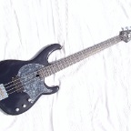 P5100140