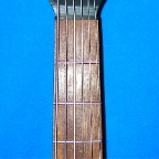 P1010029.JPG